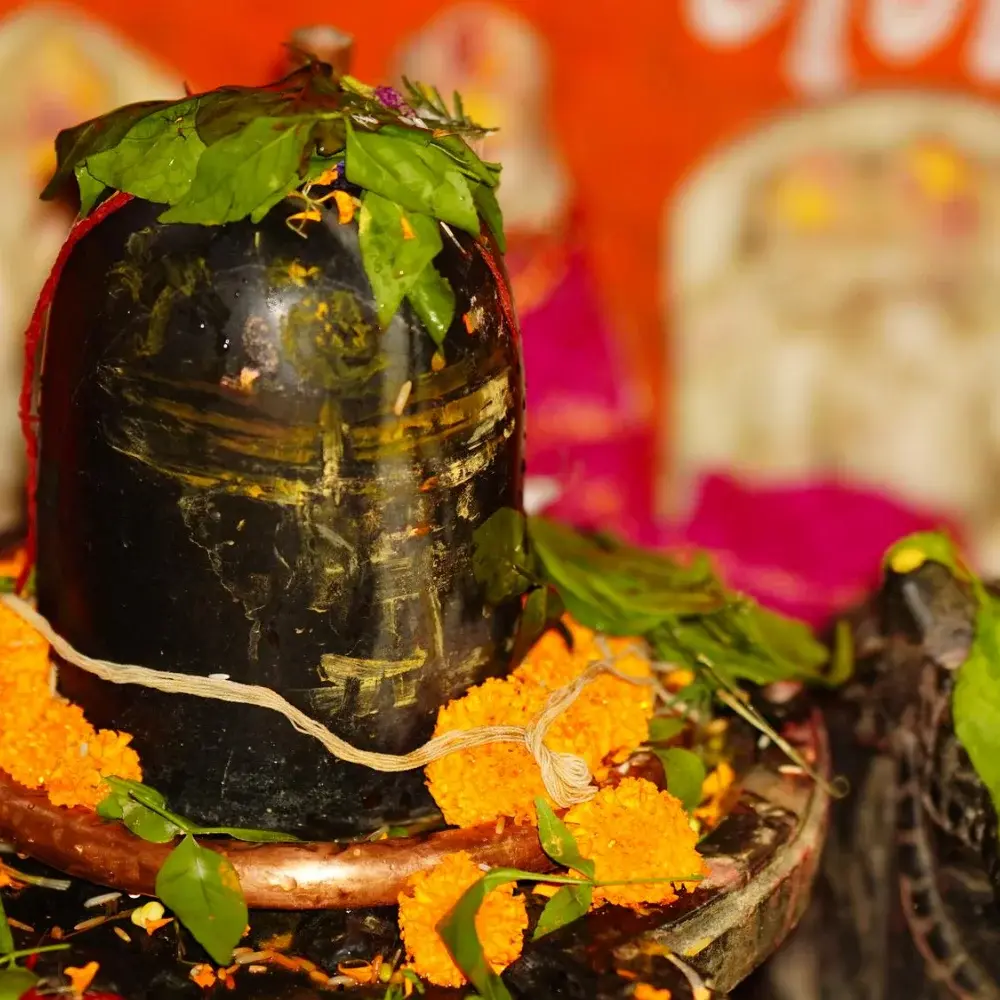Laghu Rudra | Mr Lagnesh Thaker
